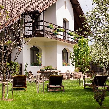 Casa Mosului - Transfagarasan Bed & Breakfast Cartisoara Luaran gambar
