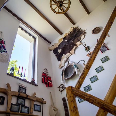 Casa Mosului - Transfagarasan Bed & Breakfast Cartisoara Luaran gambar