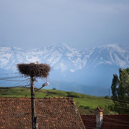 Casa Mosului - Transfagarasan Bed & Breakfast Cartisoara Luaran gambar