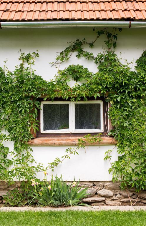 Casa Mosului - Transfagarasan Bed & Breakfast Cartisoara Luaran gambar