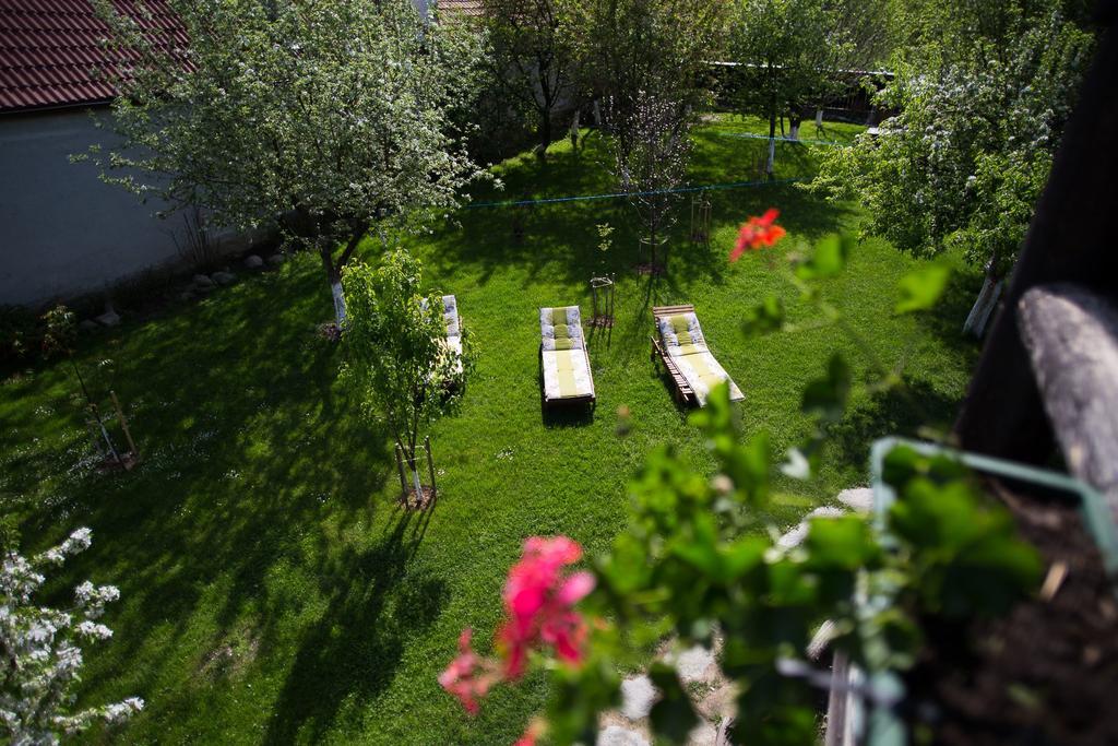 Casa Mosului - Transfagarasan Bed & Breakfast Cartisoara Luaran gambar