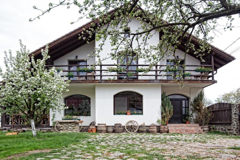 Casa Mosului - Transfagarasan Bed & Breakfast Cartisoara Luaran gambar
