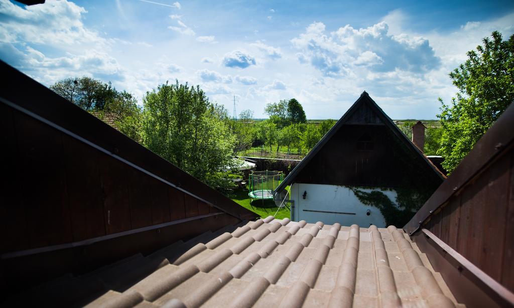 Casa Mosului - Transfagarasan Bed & Breakfast Cartisoara Luaran gambar
