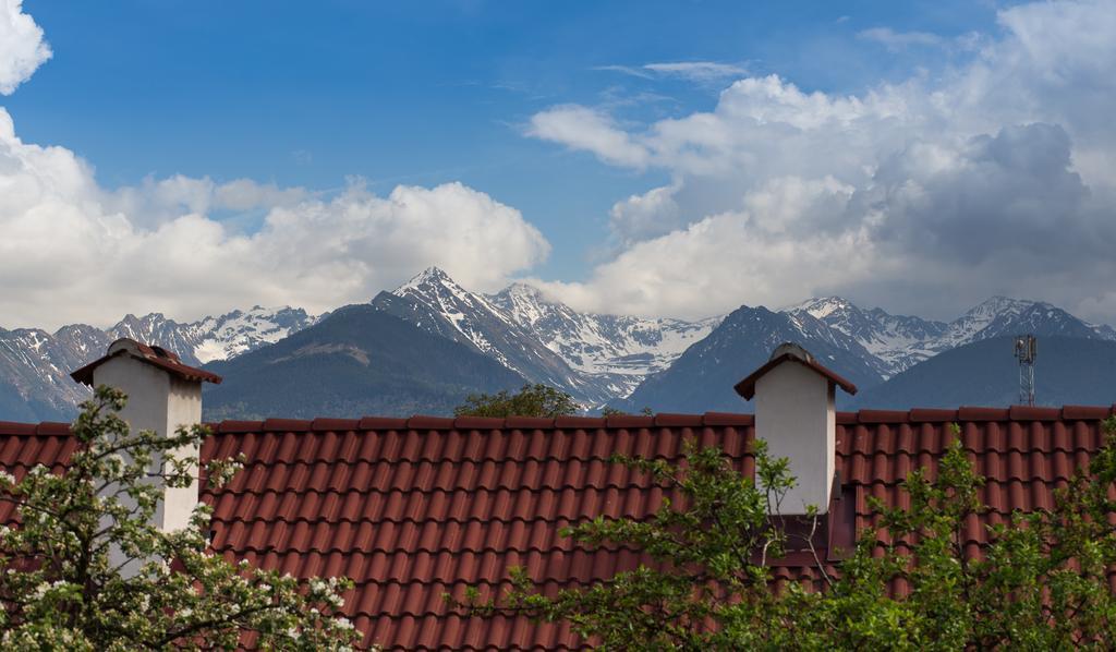 Casa Mosului - Transfagarasan Bed & Breakfast Cartisoara Luaran gambar