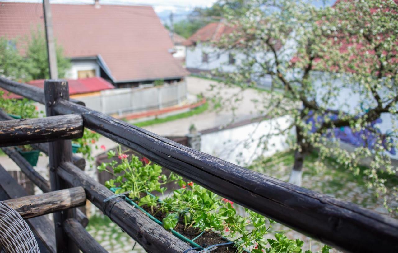 Casa Mosului - Transfagarasan Bed & Breakfast Cartisoara Luaran gambar